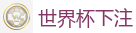 世界杯下注_FIFA世界杯 (FIFA World Cup)官方竞猜指定平台